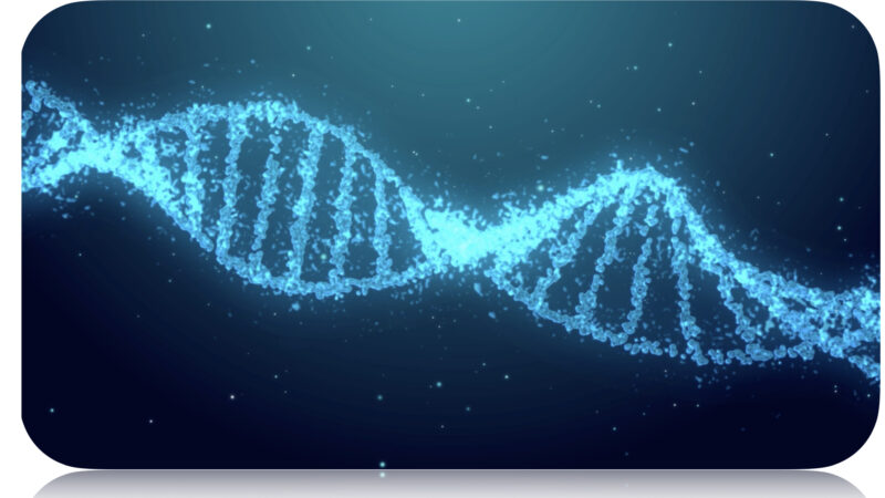 Molecular Assay Design